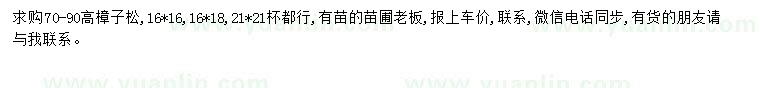 求購高70-90公分樟子松