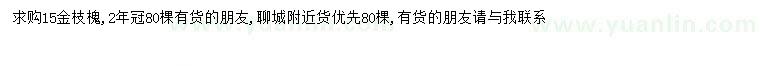 求購15公分金枝槐