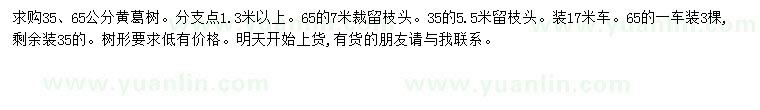 求購35、65公分黃葛樹