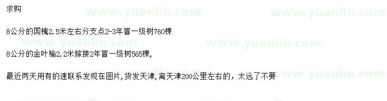 求購8公分國槐、金葉榆
