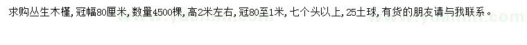 求購高2米左右叢生木槿