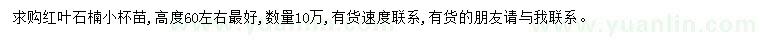 求購紅葉石楠