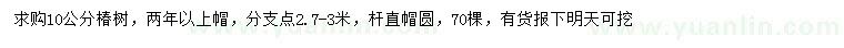 求購10公分椿樹