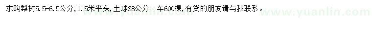 求購(gòu)5.5-6.5公分梨樹(shù)