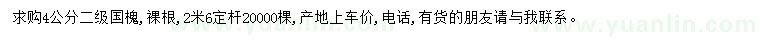 求購(gòu)4公分國(guó)槐