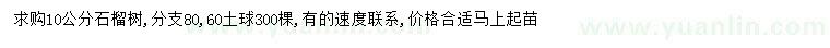 求購(gòu)10公分石榴樹