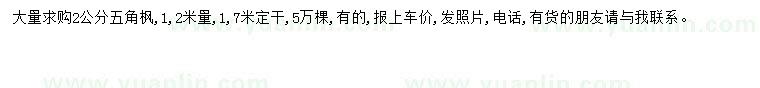 求購2公分五角楓