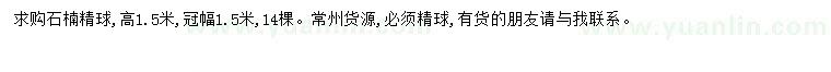 求購石楠精球