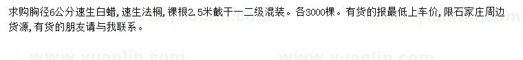 求購胸徑6公分速生白蠟