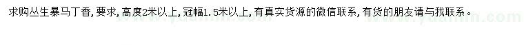 求購暴馬丁香