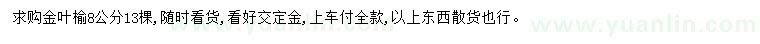 求購8公分金葉榆