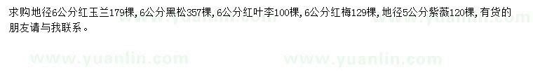 求購地徑6公分紅玉蘭