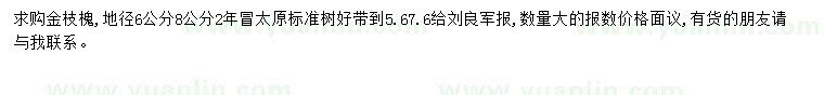 求購地徑6-8公分金枝槐