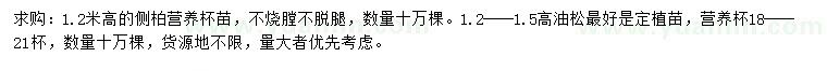 求購高1.2米側(cè)柏、高1.2-1.5米油松