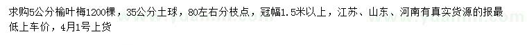 求購5公分榆葉梅