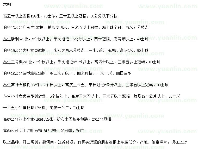 求購雪松、廣玉蘭、叢生紫荊等