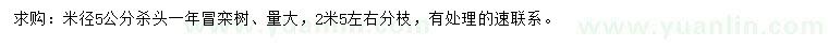 求購(gòu)米徑5公分欒樹(shù)