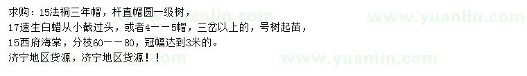 求購法桐、速生白蠟、西府海棠