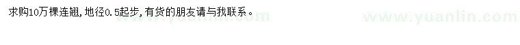 求購地徑0.5公分起步連翹