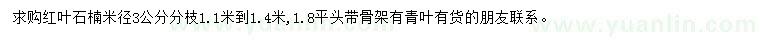 求購米徑3公分紅葉石楠
