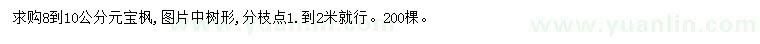 求購(gòu)8-10公分元寶楓