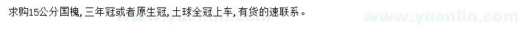 求購15公分國槐