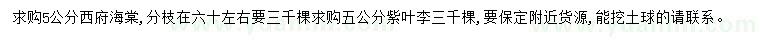 求購5公分西府海棠、紫葉李