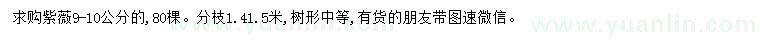 求購9-10公分紫薇