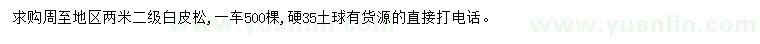 求購2米級白皮松