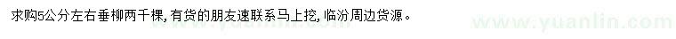 求購5公分左右垂柳