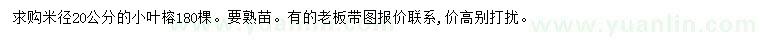 求購米徑20公分小葉榕