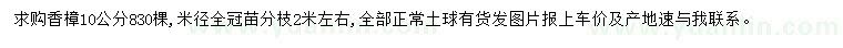 求購米徑10公分香樟