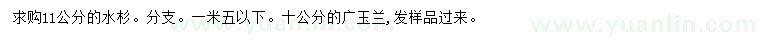 求購11公分水杉、10公分廣玉蘭
