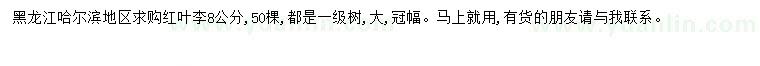 求購8公分紅葉李
