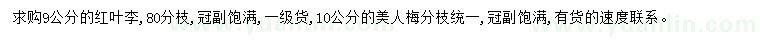 求購9公分紅葉李、10公分美人梅