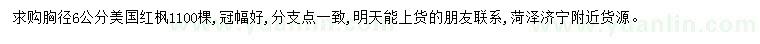 求購胸徑6公分美國紅楓