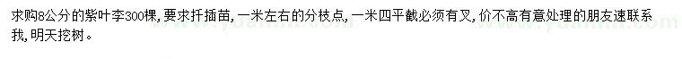求購8公分紫葉李