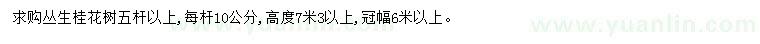 求購高7.3米以上叢生桂花