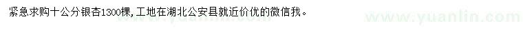求購(gòu)10公分銀杏
