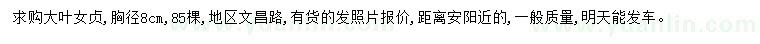 求購(gòu)胸徑8公分大葉女貞