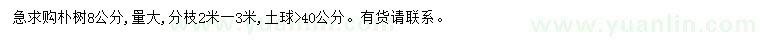 求購8公分樸樹