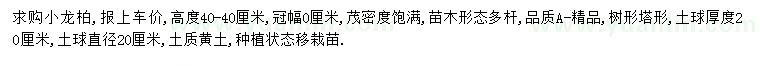 求購高40公分龍柏