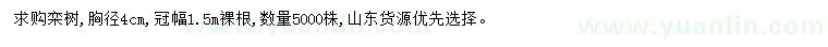 求購胸徑4公分欒樹