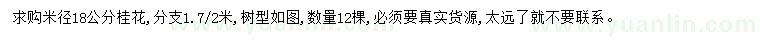 求購米徑18公分桂花