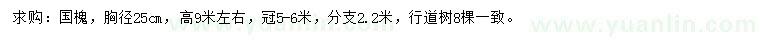 求購胸徑25公分國槐