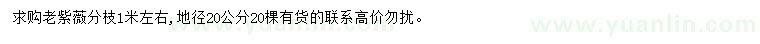 求購(gòu)地徑20公分老紫薇