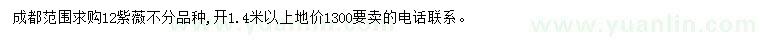 求購12公分紫薇