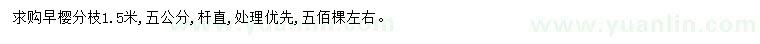 求購5公分早櫻