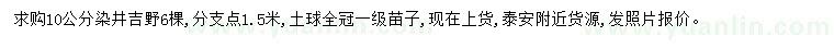 求購10公分染井吉野櫻花
