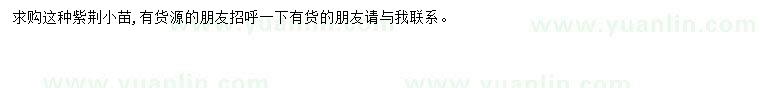 求購(gòu)紫荊小苗